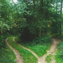 What decision should you make-