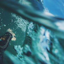 The swim leg in a triathlon is critical The swim leg in a triathlon is critical
